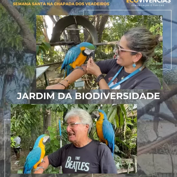 05_04 - Poço Encantado