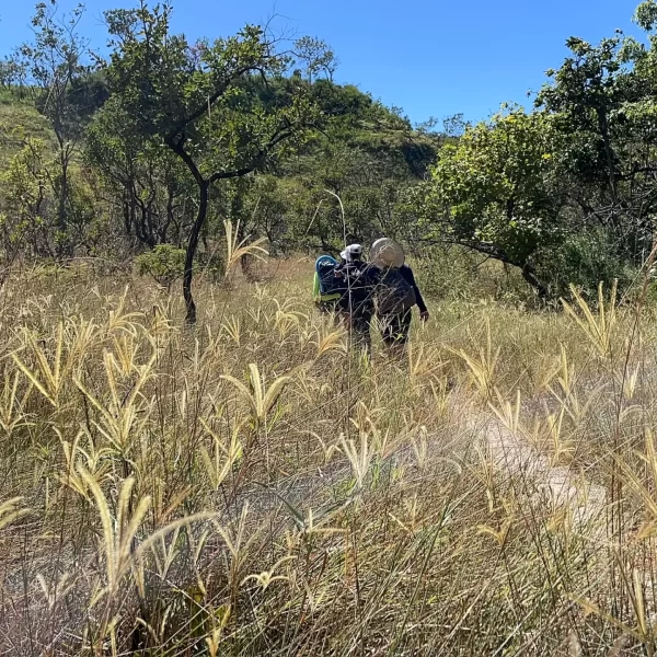 Complexo do Prata - Rei do Prata - Cavalcante - Chapada dos Veadeiros (24)