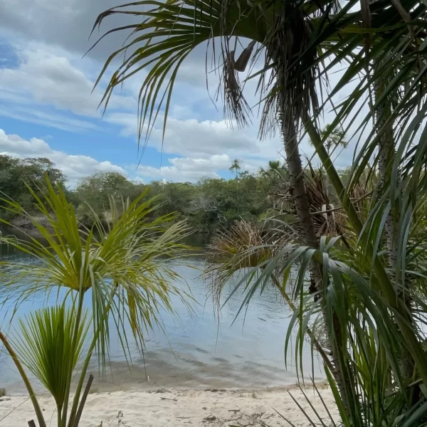 Banho nas águas cristalinas da Cachoeira São Bartolomeu Vale das Araras