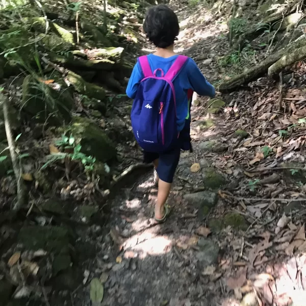 Banho nas águas cristalinas da Cachoeira São Bartolomeu Vale das Araras