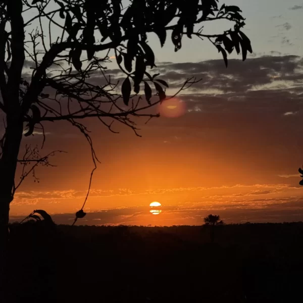 céu - Chapada dos Veadeiros - férias de julho - 2025 (25)